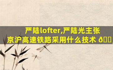 严陆lofter,严陆光主张京沪高速铁路采用什么技术 🕸